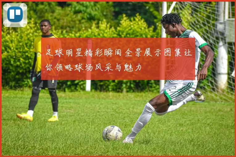 足球明星精彩瞬间全景展示图集让你领略球场风采与魅力