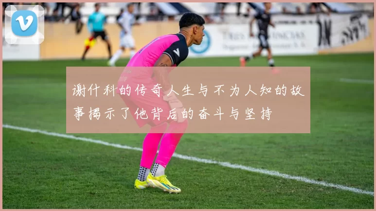 谢什科的传奇人生与不为人知的故事揭示了他背后的奋斗与坚持