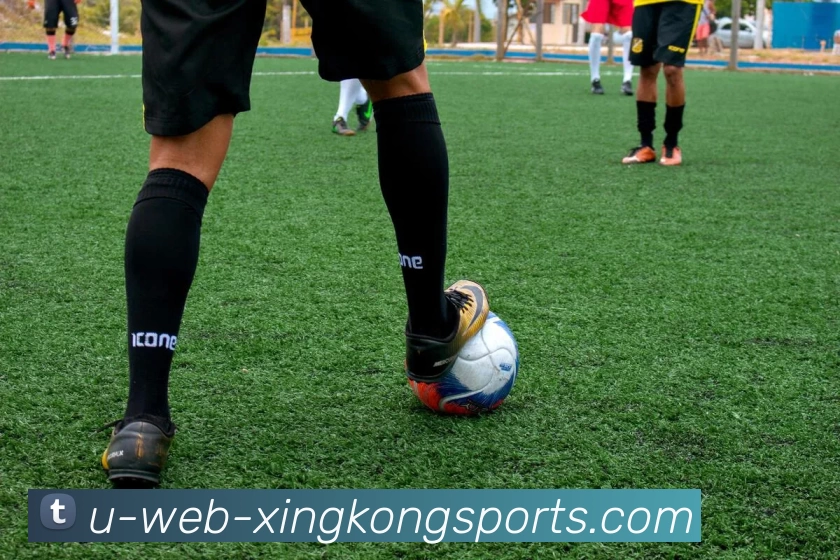 多媒体互动体验